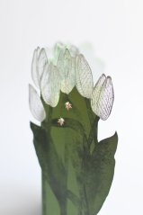 Přání Porigami - Tulipány