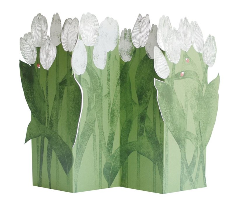 Přání Porigami - Tulipány
