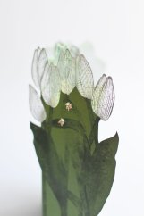 Přání Porigami - Tulipány