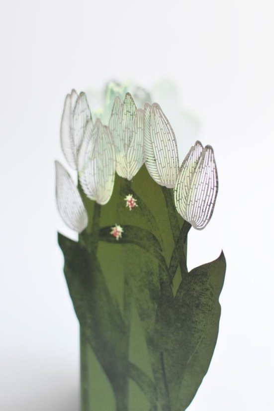 Přání Porigami - Tulipány
